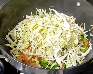 Hakka Noodles | How To make Vegetable Hakka Noodles Recipe